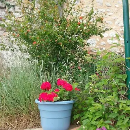 Cécile *