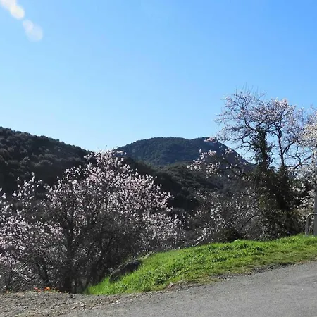 Cecile Ferienhaus Montgaillard (Aude)