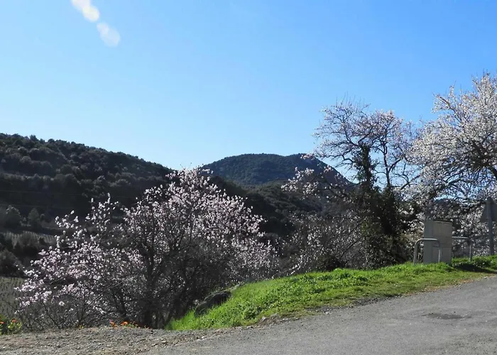 Cecile Ferienhaus Montgaillard (Aude)